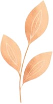 a pair of earrings with leaves on them.jpg